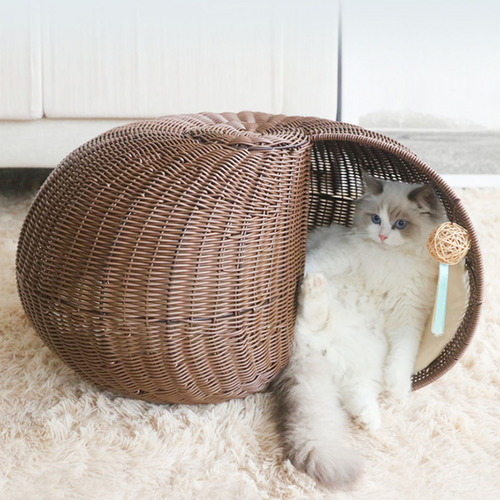 Cat igloo best sale